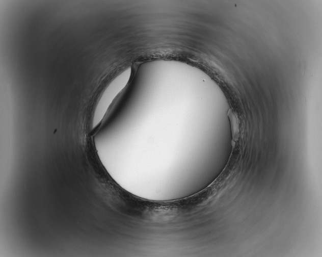 X0000094190546200711091203