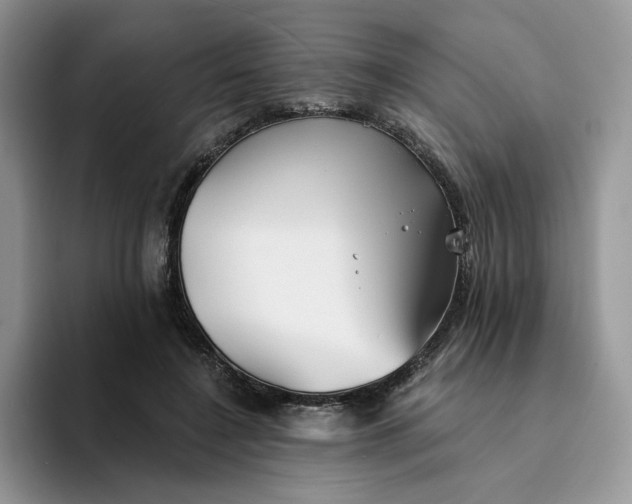 X0000094190548200711091203