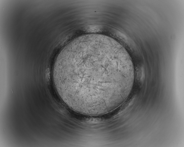 X0000094190549200711091203