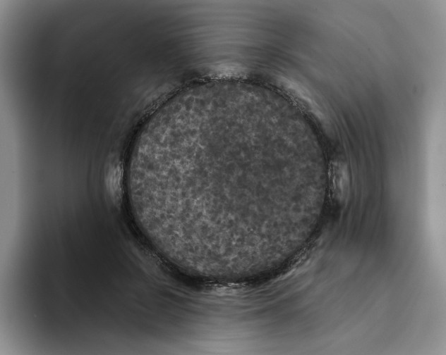 X0000094190550200711091203