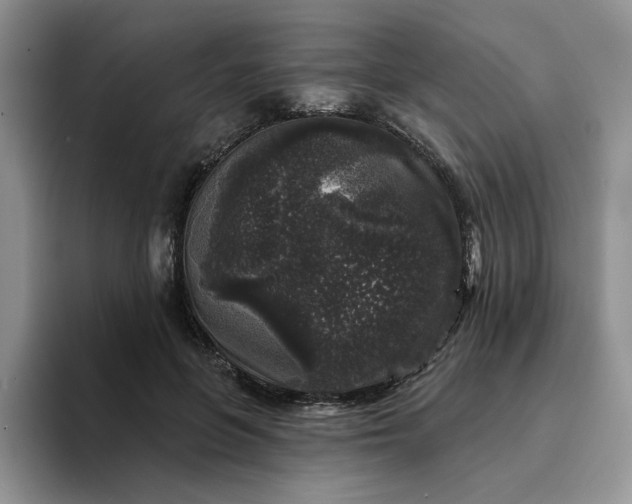 X0000094190551200711091203