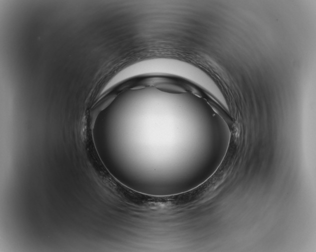 X0000094190552200711091203