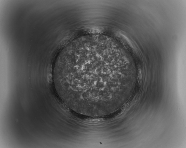 X0000094190553200711091203