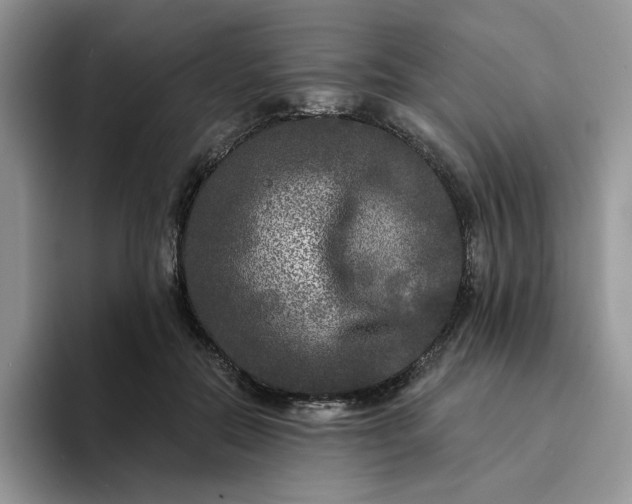 X0000094190554200711091203