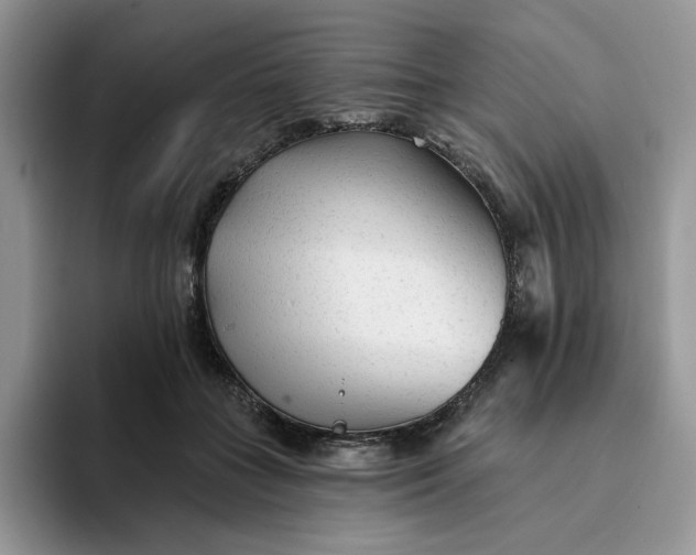 X0000094190555200711091203