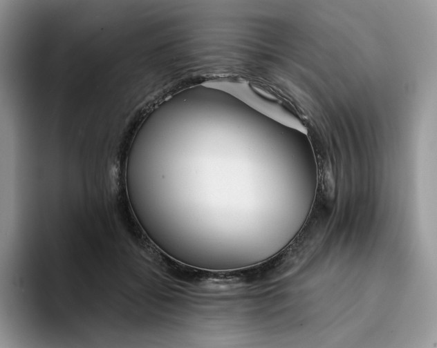 X0000094190556200711091203