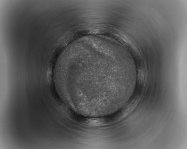 X0000094190557200711091203