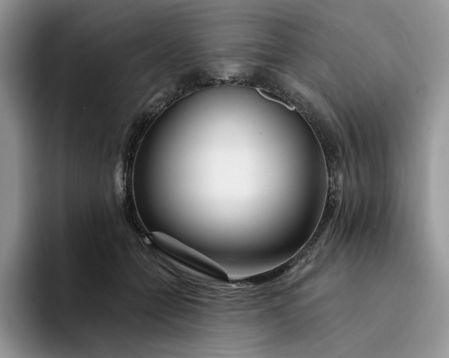 X0000094190558200711091203