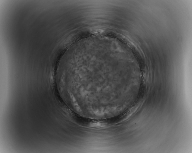 X0000094190561200711091203