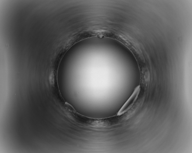 X0000094190562200711091203