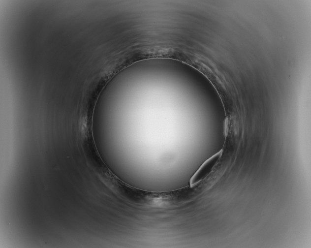 X0000094190564200711091203