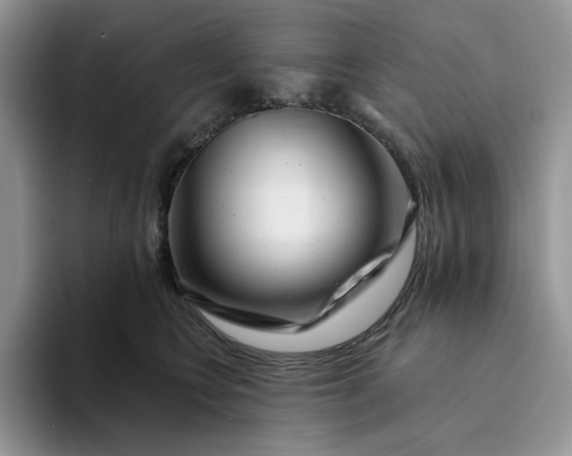 X0000094190566200711091203