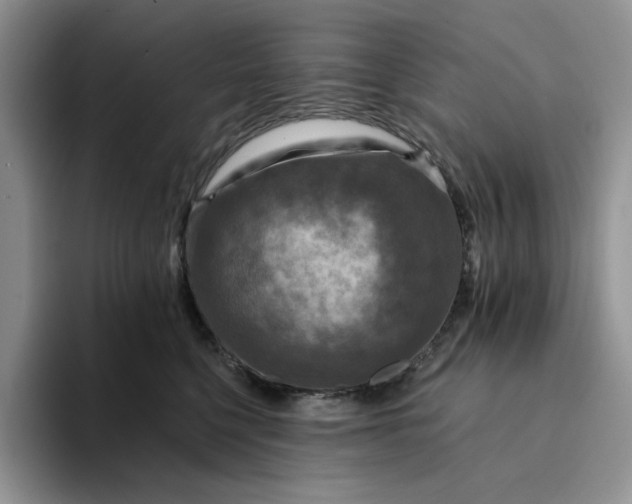 X0000094190568200711091203