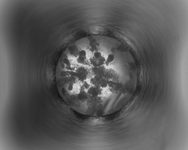 X0000094190569200711091203