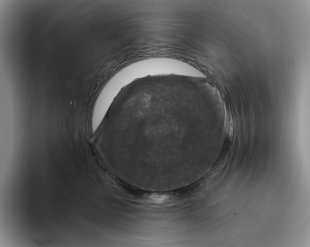 X0000094190570200711091203