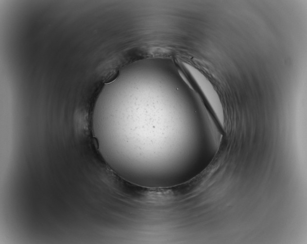 X0000094190571200711091203