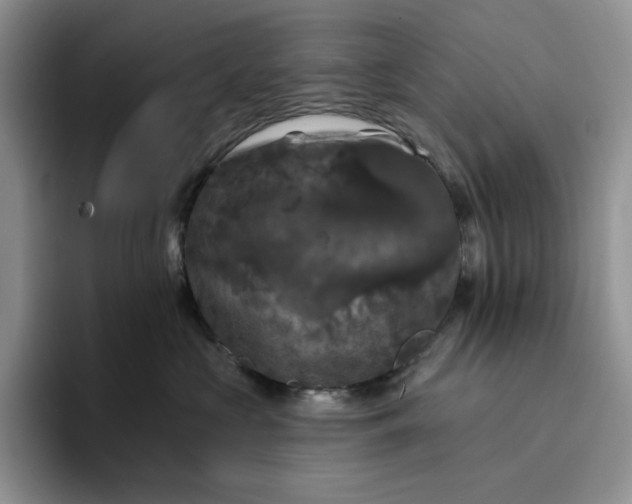 X0000094190573200711091203