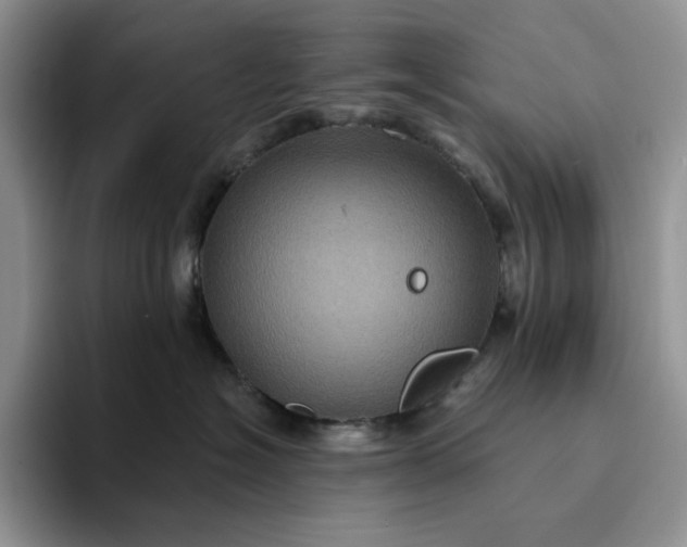 X0000094190574200711091203