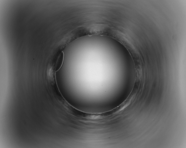 X0000094190575200711091203