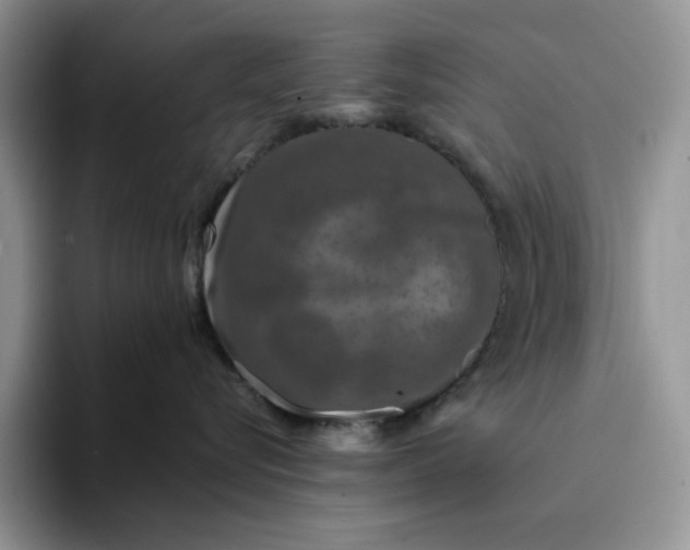 X0000094190576200711091203