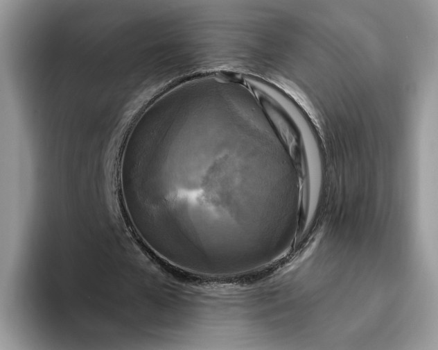 X0000094190577200711091202