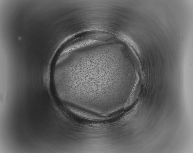 X0000094190580200711091202