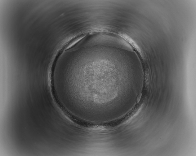 X0000094190581200711091202