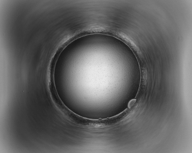 X0000094190582200711091202