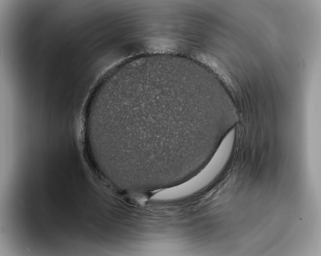 X0000094190583200711091202