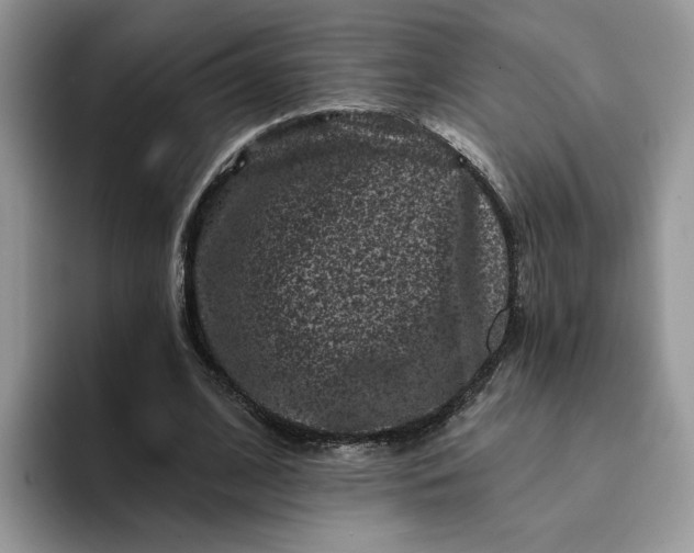 X0000094190584200711091202