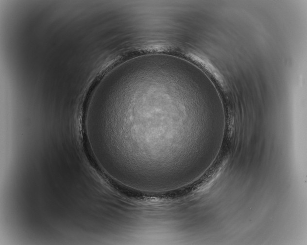 X0000094190585200711091202