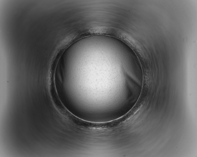 X0000094190586200711091202