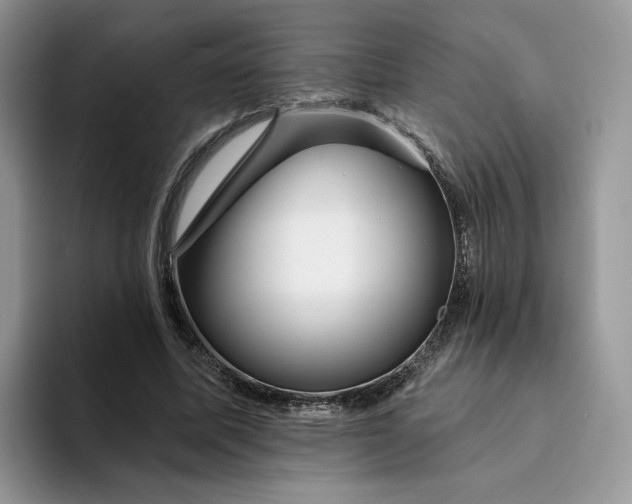 X0000094190587200711091202