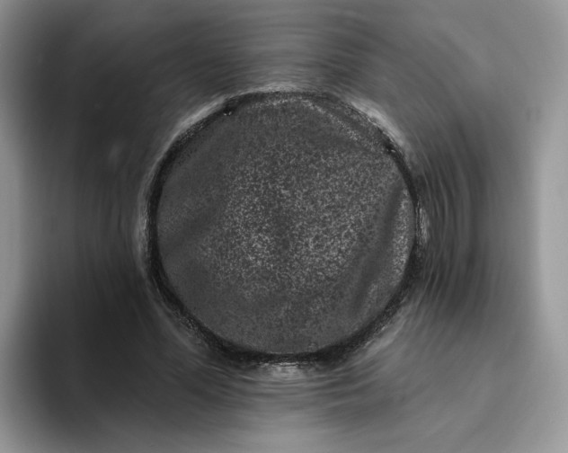 X0000094190588200711091202