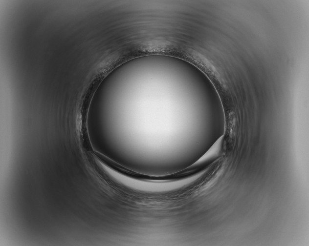 X0000094190589200711091202