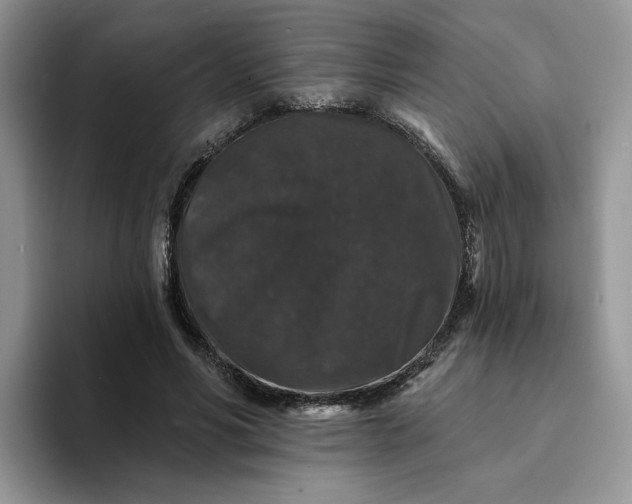 X0000094190590200711091202