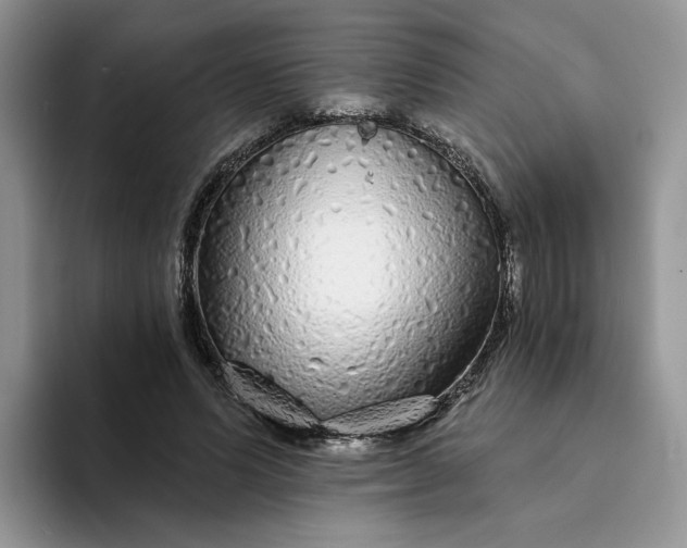 X0000094190591200711091202