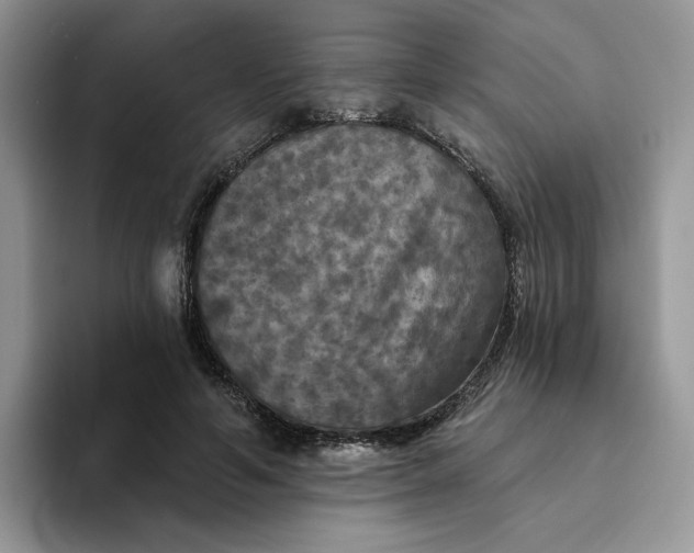 X0000094190594200711091202