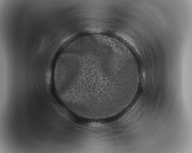 X0000094190596200711091202