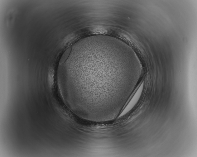 X0000094190600200711091202