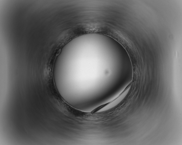 X0000094190601200711091202