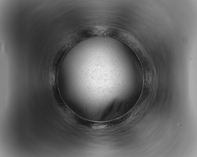 X0000094190602200711091202