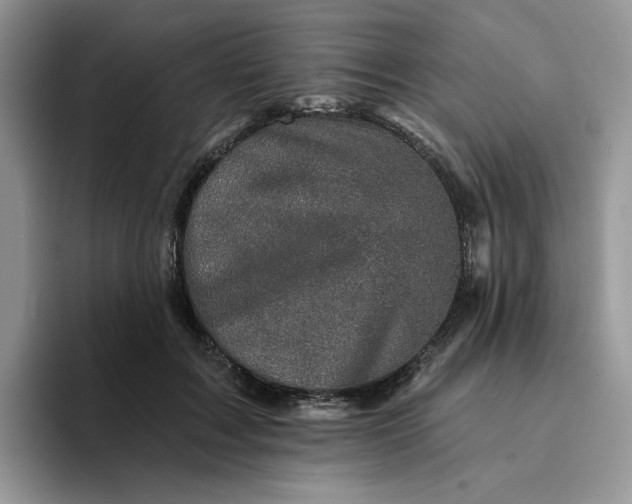 X0000094190603200711091202