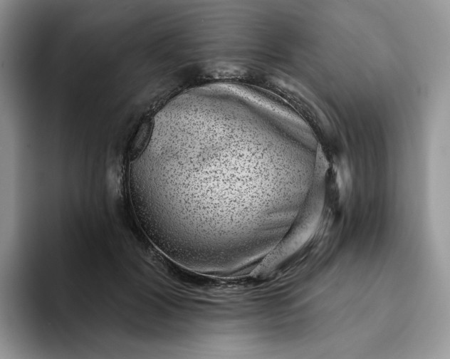 X0000094190604200711091202