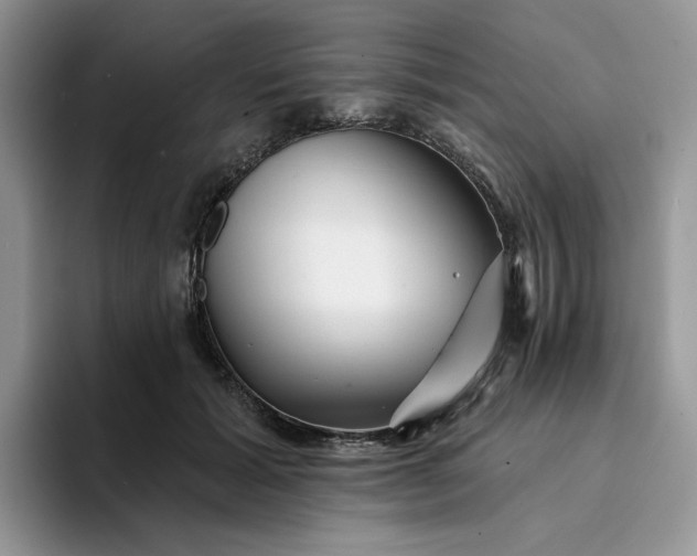 X0000094190605200711091202