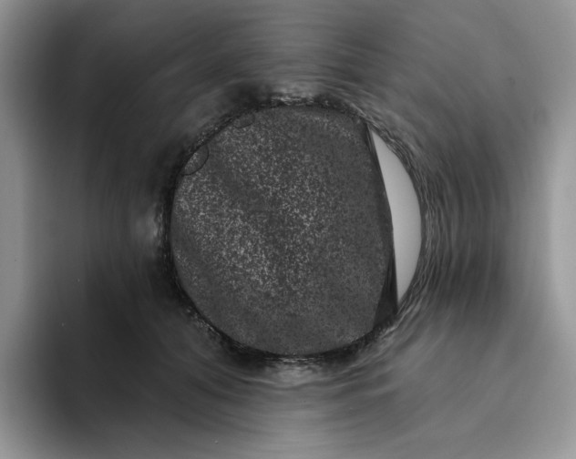 X0000094190608200711091202