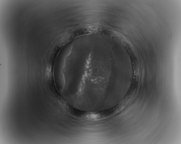 X0000094190610200711091202