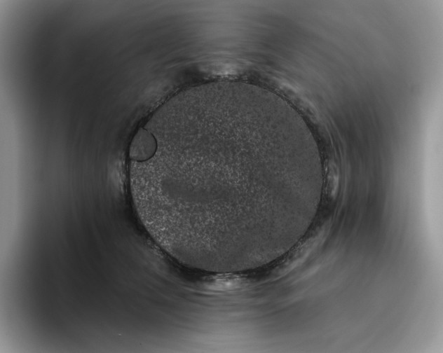 X0000094190612200711091202