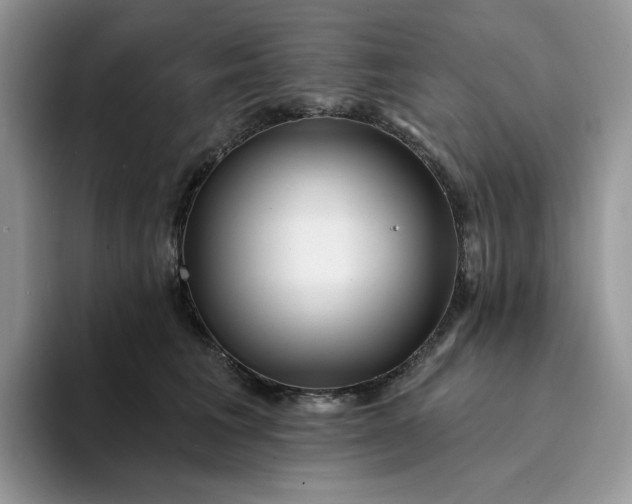 X0000094190613200711091202