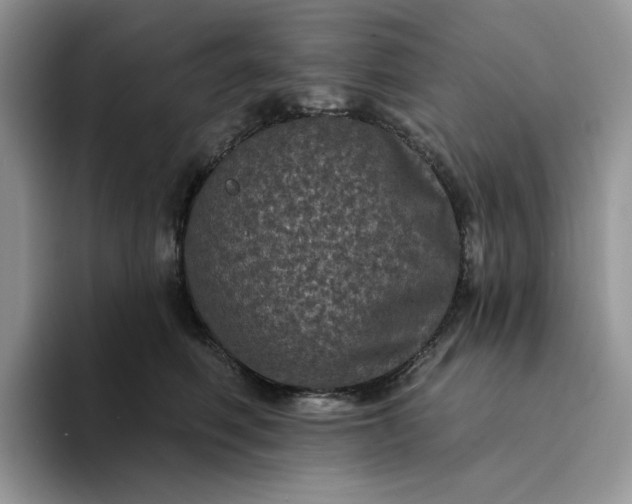 X0000094190614200711091202